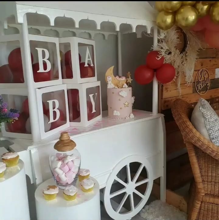 Professional Baby Shower Service